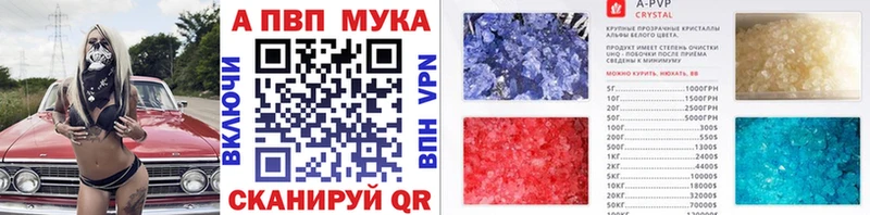 blacksprut как войти  даркнет сайт  Верхняя Пышма  мориарти какой сайт  A PVP Соль 