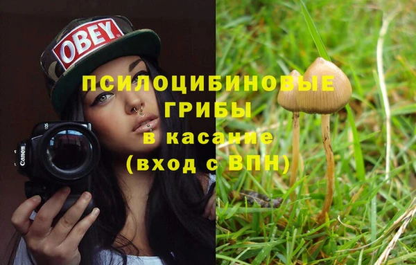 МДПВ Белокуриха
