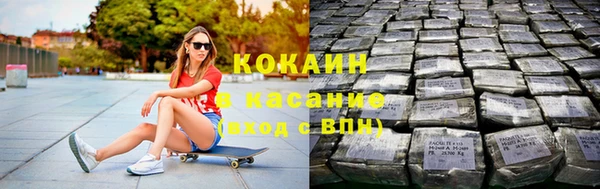 шишки Богданович