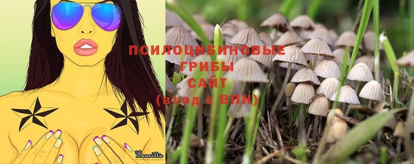 герыч Беломорск